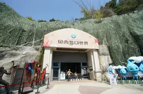 Shell Fantasy World