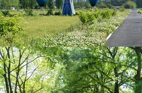 Lingshan Fengqing Town