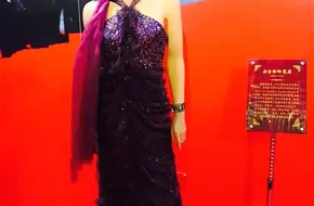 Weimu Kaila Red Carpet Wax Art Museum