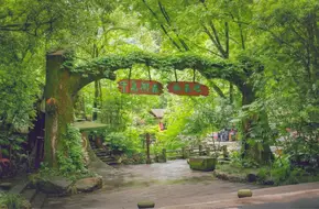 Thousand Island Lake Forest Oxygen Bar