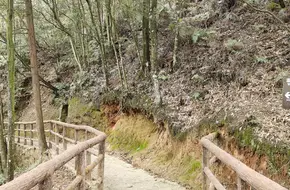 Wenjiazhai