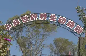 China-Africa Wildlife Park