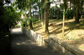 Bishan Park
