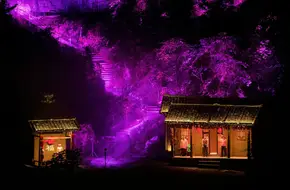 Impression Wulong