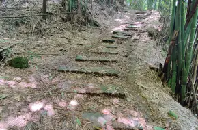 Laifengyi Ancient Road