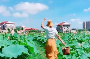 West Slope Vegetable Field