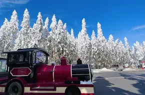 Fairy Mountain Scenic Railway Station