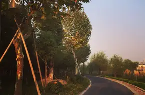 Beitang Park Nansha Scenic Area