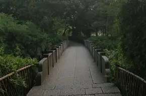 Covered Bridge