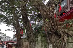 Wenfeng Ancient Street