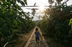 Rongjie Taiwan Fruit Sightseeing Garden