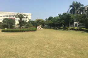 Egret Island Park-Pigeon Square