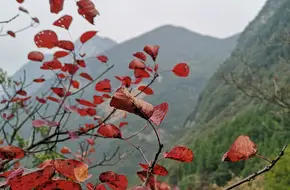 Flying Phoenix Peak