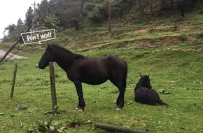 Xiannvshan National Forest Park-Horse Riding Ground
