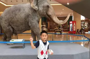 Chongqing Natural History Museum - West Square