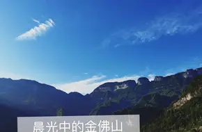 Ancient Ginkgo Garden