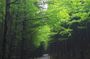Shanwangping Karst National Ecological Park