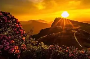 Magical Landscape Wulong Night Lantern Festival