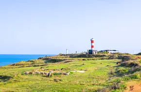 Zhenhai Cape