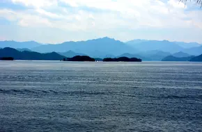 Fishing Fun Island