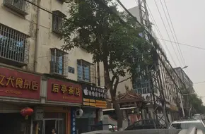 Houting Tea Shop
