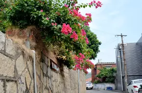 Nanhua Road Cultural Bar Street