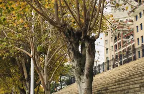 Nan Xun Tower