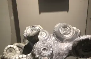 Stone City (Museum Of Odd Stones)