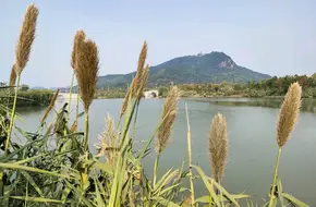 Xiang Lake Flower Sea