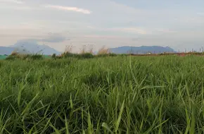 Wenhua Village
