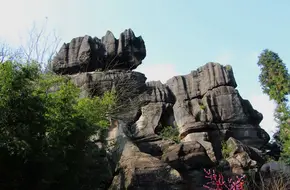 Dragon Scale Stone Sea Scenic Area