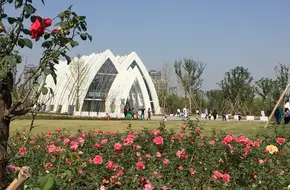 Baima Lake Eco-Creative City