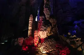 Pine And Cypress Immortal Encounter