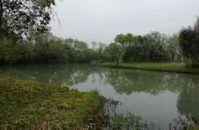 Mist And Water Hermitage