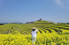 Hangzhou Fuyang District Xindeng Town Cunling Family Farm