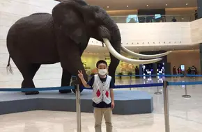 Chongqing Natural History Museum - West Square