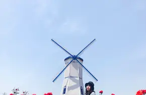 Xinsha Island Rose Garden