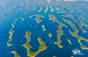 Huangshan Jian