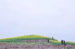Wuyi Village