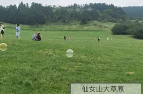 Wilderness Training Camp