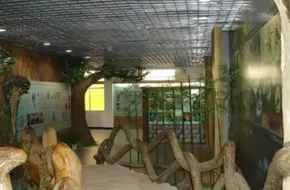 Wuyi Snake Exhibition Garden
