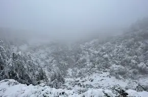 Xiannvshan Prairie