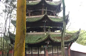 Long Life Tower