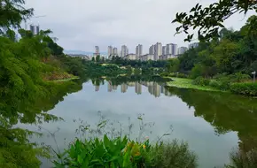 Dong Yue Sports Park