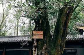 Wuyi Ancient Celebrities Pavilion