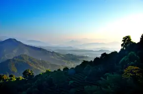 Qin Mountain