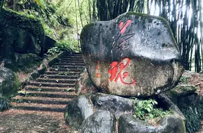 Imperial Tea Garden Site