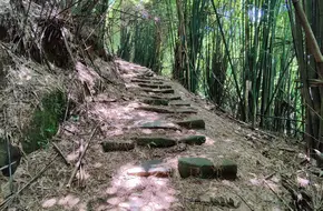 Laifengyi Ancient Road