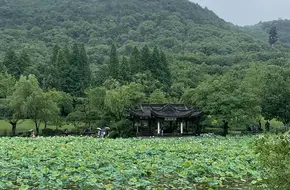 Yuewang Bridge