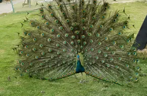Xiamen Zoo